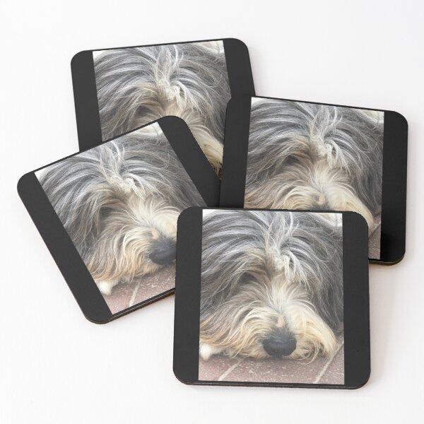 Item preview, Bearded Collie Nap Time - Always got one eye open just in case! Chiffon Top designed and sold by quantrieutrieu.