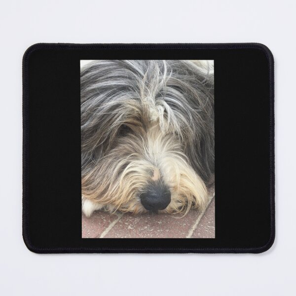 Item preview, Bearded Collie Nap Time - Always got one eye open just in case! Chiffon Top designed and sold by quantrieutrieu.