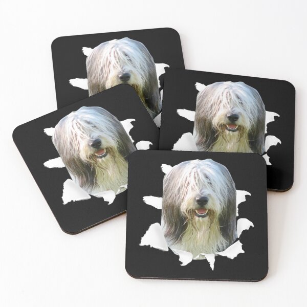 Item preview, Bearded Collie Shirt - Bearded Collie TShirt Sticker designed and sold by quantrieutrieu.