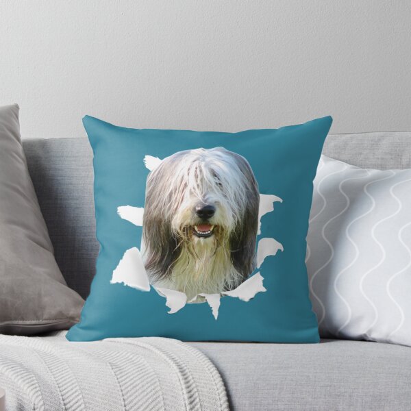 Item preview, Bearded Collie Shirt - Bearded Collie TShirt Sticker designed and sold by quantrieutrieu.