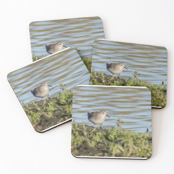 Item preview, Temminck's Stint designed and sold by LaurenTucker.