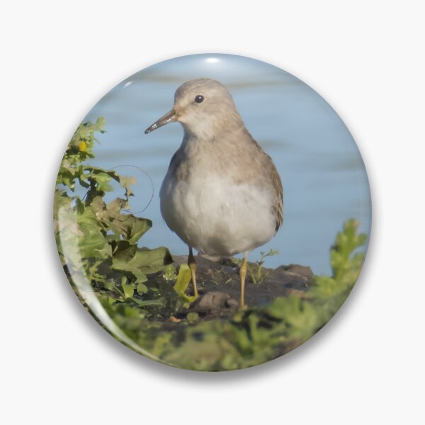 Item preview, Temminck's Stint designed and sold by LaurenTucker.
