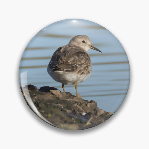 Item preview, Temminck's Stint designed and sold by LaurenTucker.