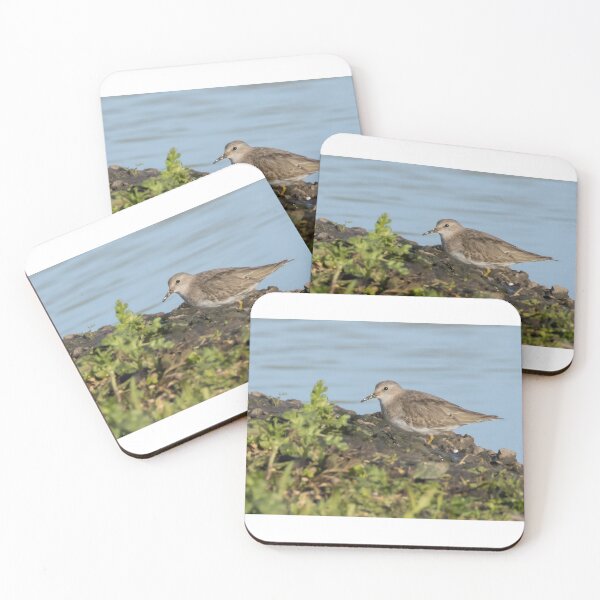 Item preview, Temminck's Stint designed and sold by LaurenTucker.