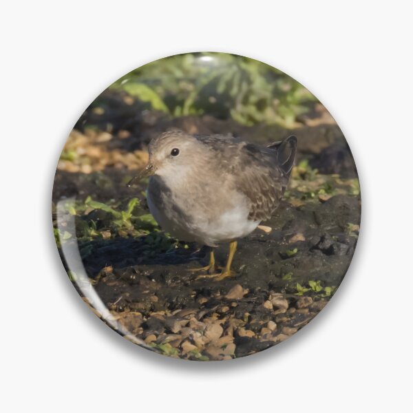 Item preview, Temminck's Stint designed and sold by LaurenTucker.