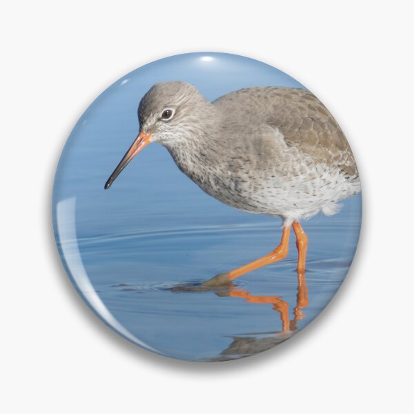 Item preview, Common Redshank designed and sold by LaurenTucker.