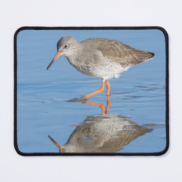 Item preview, Common Redshank designed and sold by LaurenTucker.