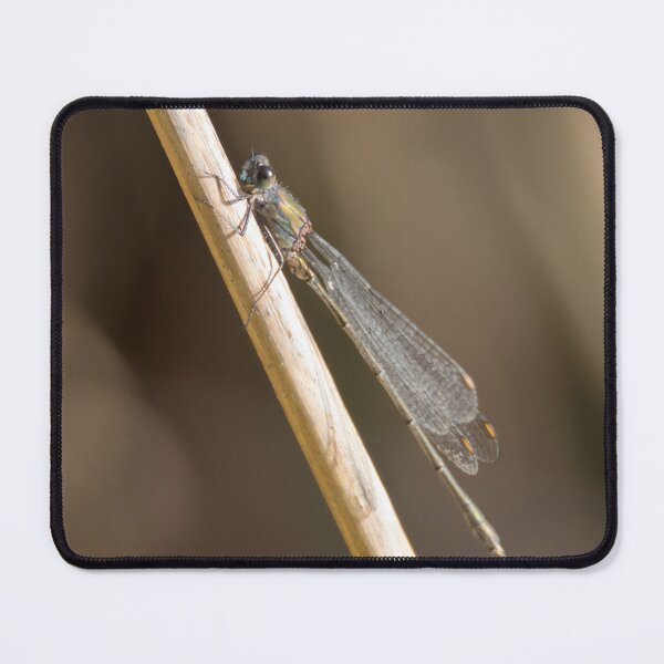 Item preview, Willow Emerald designed and sold by LaurenTucker.
