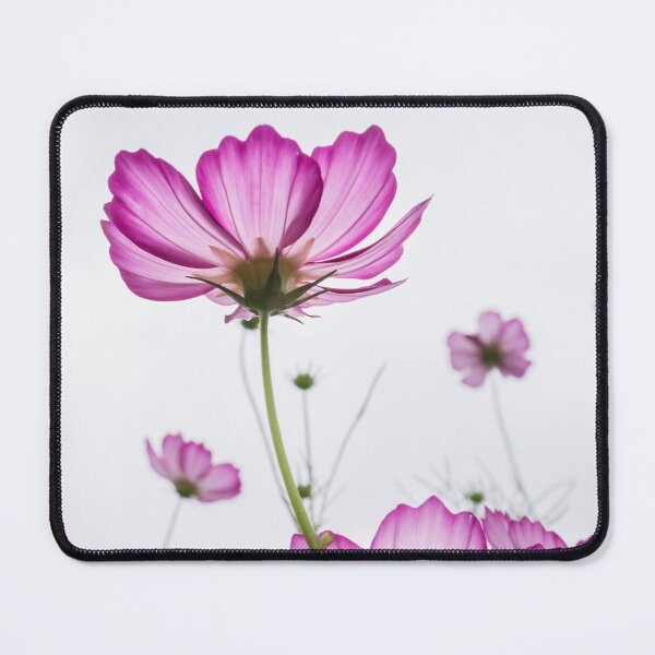 Item preview, Summer flowers designed and sold by suewen.