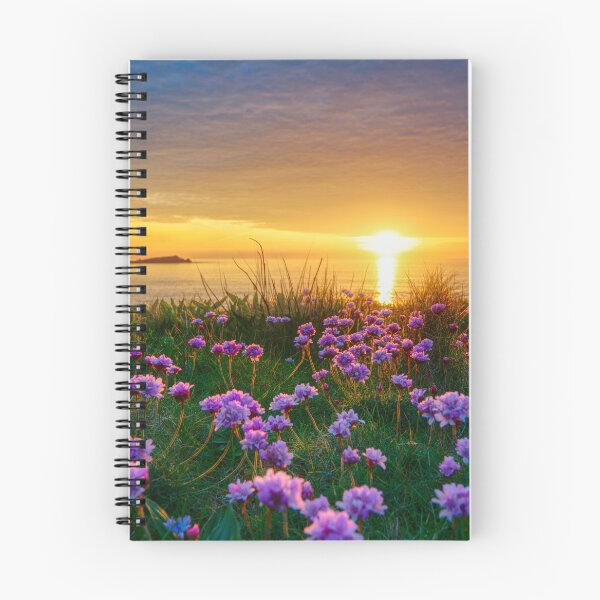 Item preview, Newquay Cornwall designed and sold by Alisonchambers2.