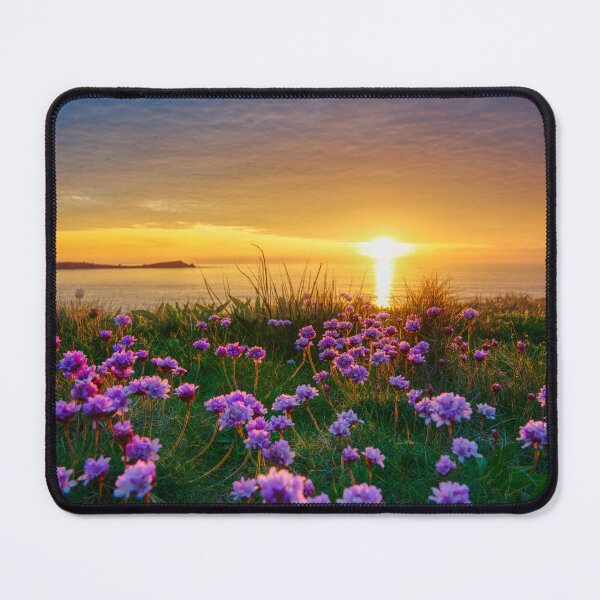 Item preview, Newquay Cornwall designed and sold by Alisonchambers2.