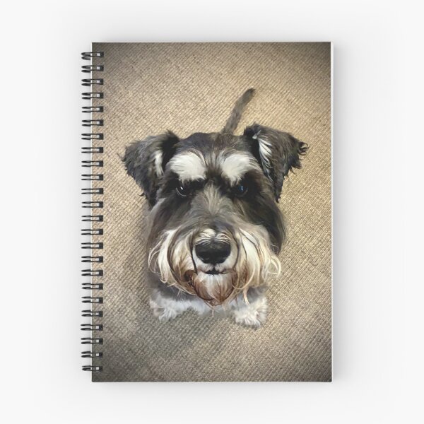 Item preview, Schnauzermonkey Hard Stare designed and sold by Schnauzermonkey.