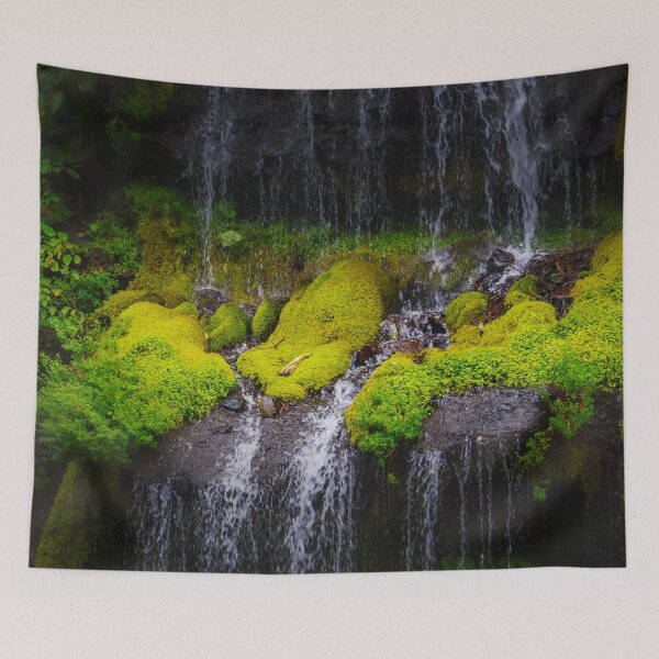 Item preview, Lush Moss under the Flow of Doryu Falls, Yamanashi Prefecture designed and sold by Pix4Japan.