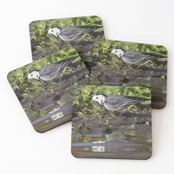 Item preview, Pied Wagtail designed and sold by LaurenTucker.