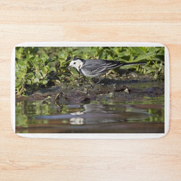 Item preview, Pied Wagtail designed and sold by LaurenTucker.