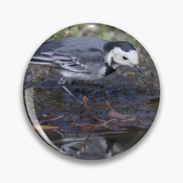 Item preview, Pied Wagtail designed and sold by LaurenTucker.