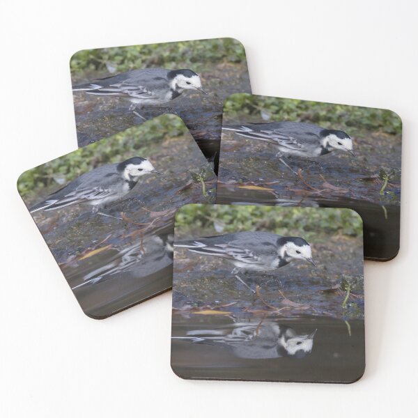 Item preview, Pied Wagtail designed and sold by LaurenTucker.