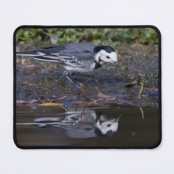 Item preview, Pied Wagtail designed and sold by LaurenTucker.