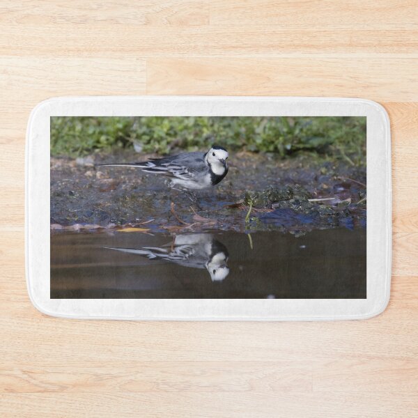 Item preview, Pied Wagtail designed and sold by LaurenTucker.