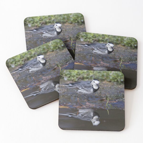 Item preview, Pied Wagtail designed and sold by LaurenTucker.