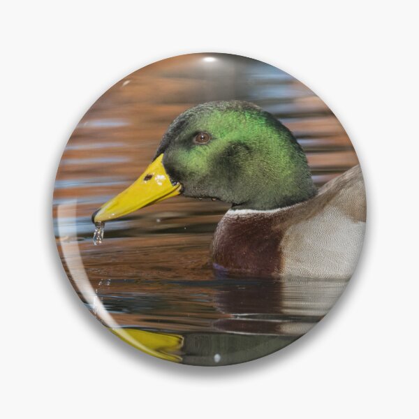 Item preview, Mallard designed and sold by LaurenTucker.