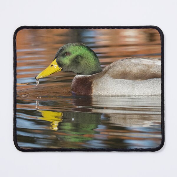 Item preview, Mallard designed and sold by LaurenTucker.