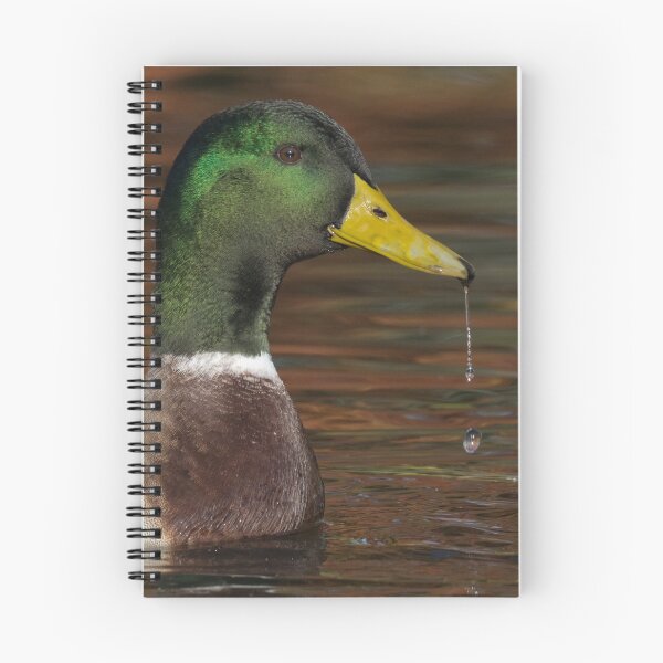 Item preview, Mallard designed and sold by LaurenTucker.