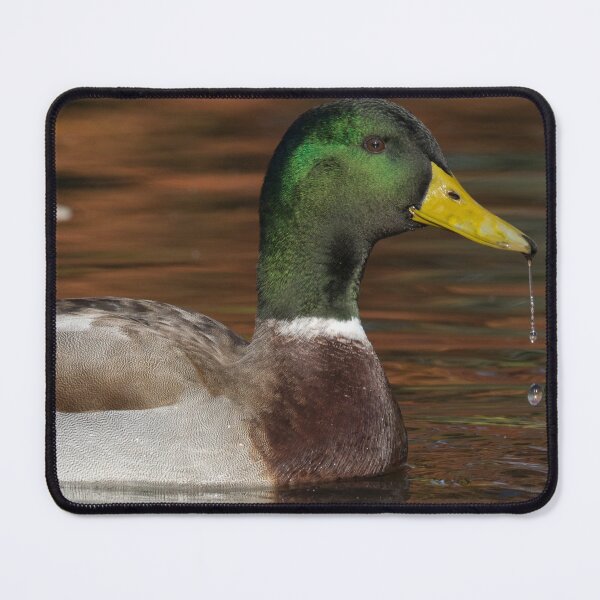 Item preview, Mallard designed and sold by LaurenTucker.