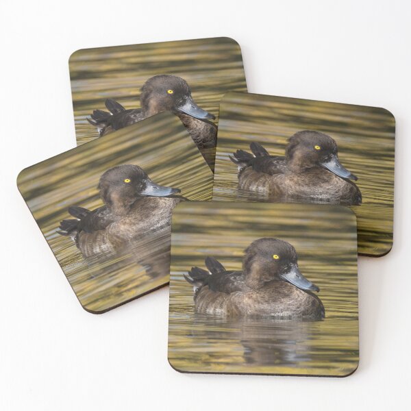 Item preview, Greater Scaup designed and sold by LaurenTucker.