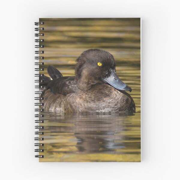 Item preview, Greater Scaup designed and sold by LaurenTucker.