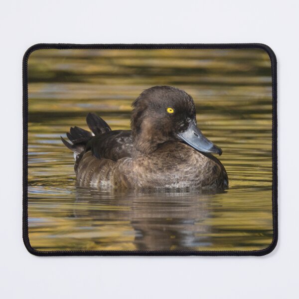 Item preview, Greater Scaup designed and sold by LaurenTucker.