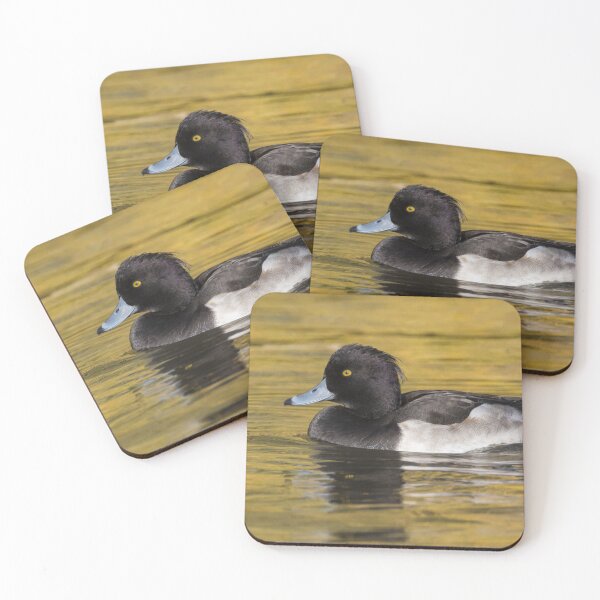 Item preview, Greater Scaup designed and sold by LaurenTucker.