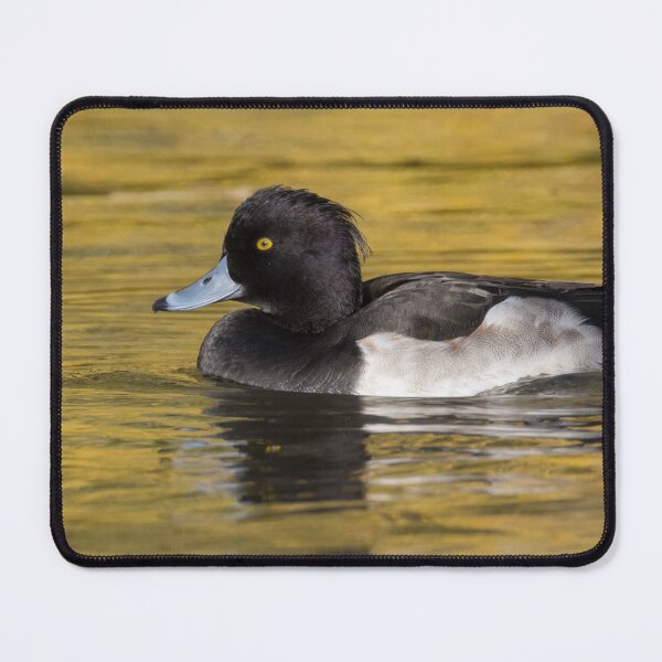 Item preview, Greater Scaup designed and sold by LaurenTucker.