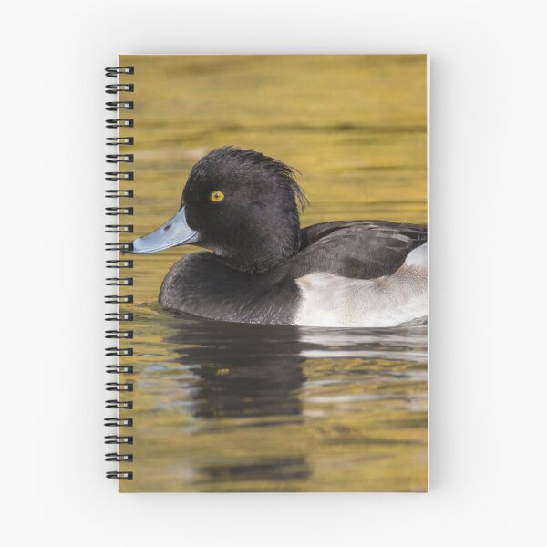 Item preview, Greater Scaup designed and sold by LaurenTucker.