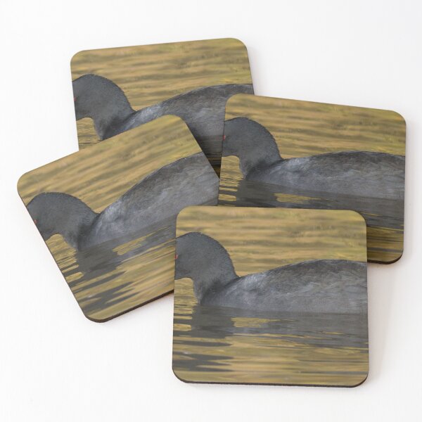 Item preview, Eurasian Coot designed and sold by LaurenTucker.
