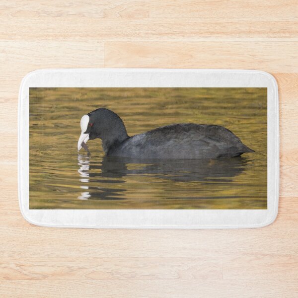 Item preview, Eurasian Coot designed and sold by LaurenTucker.