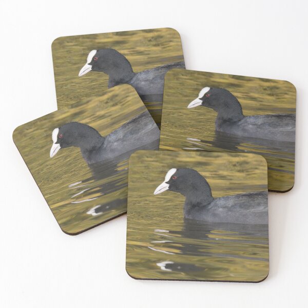 Item preview, Eurasian Coot designed and sold by LaurenTucker.
