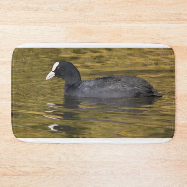 Item preview, Eurasian Coot designed and sold by LaurenTucker.