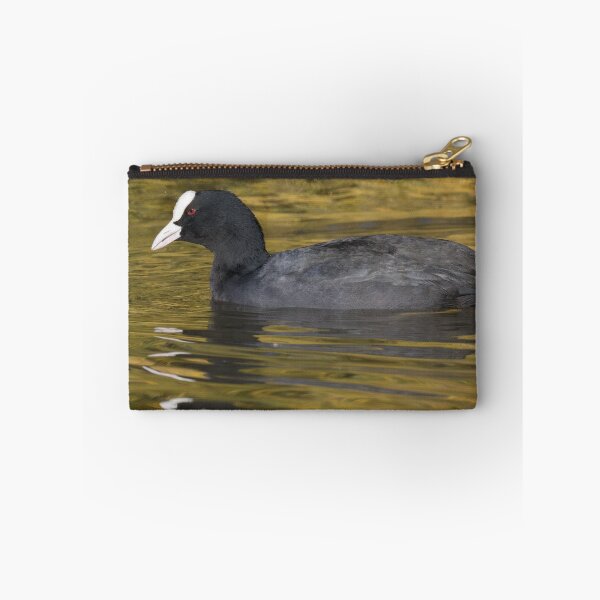 Item preview, Eurasian Coot designed and sold by LaurenTucker.