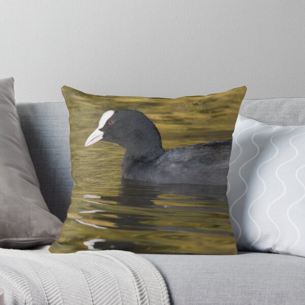 Item preview, Eurasian Coot designed and sold by LaurenTucker.
