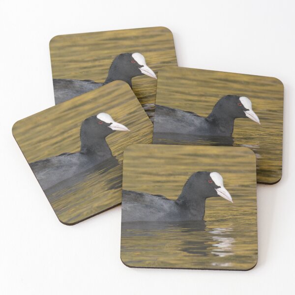 Item preview, Eurasian Coot designed and sold by LaurenTucker.