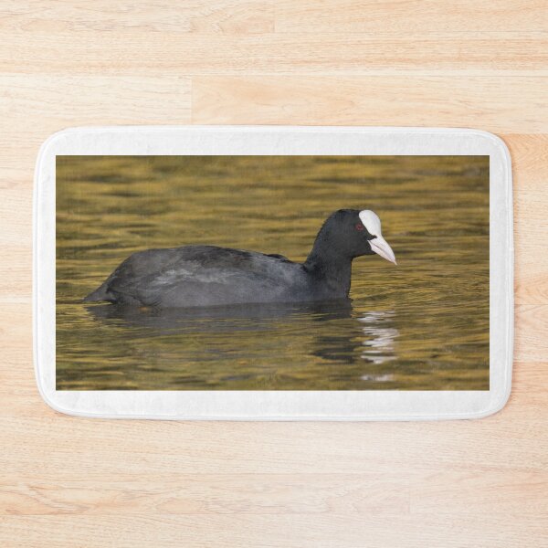 Item preview, Eurasian Coot designed and sold by LaurenTucker.