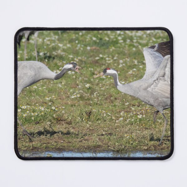 Item preview, Common Crane designed and sold by LaurenTucker.