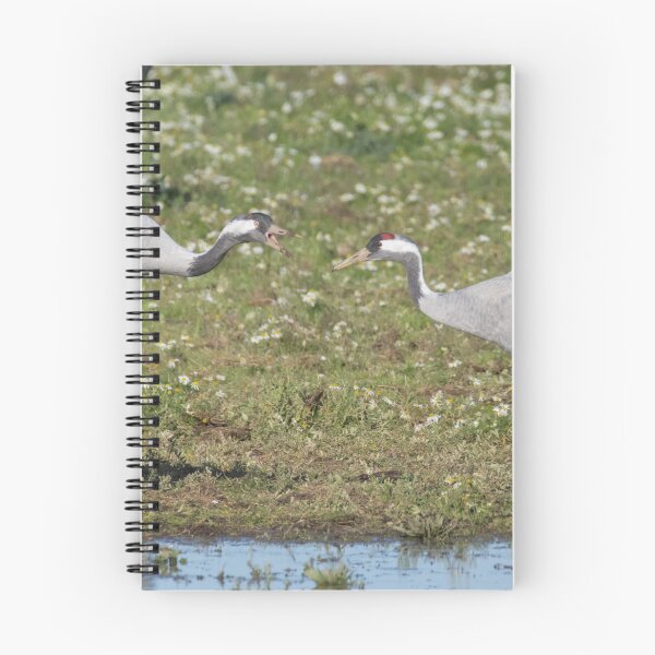 Item preview, Common Crane designed and sold by LaurenTucker.