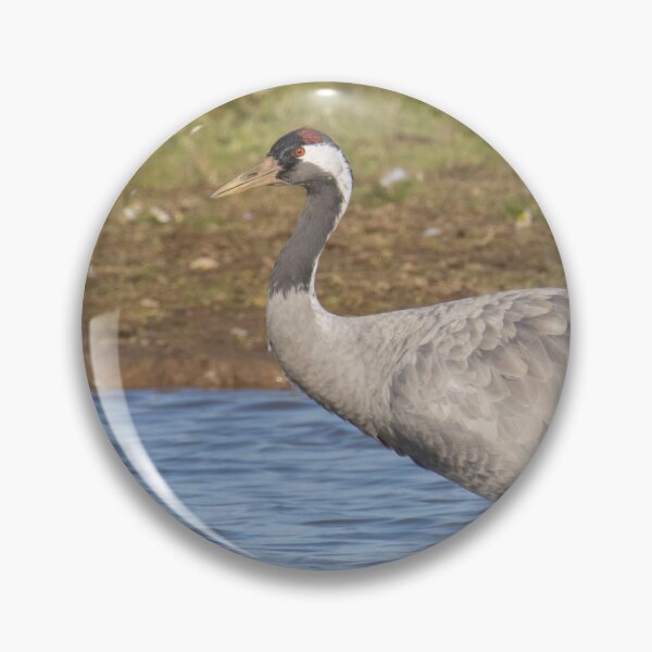 Item preview, Common Crane designed and sold by LaurenTucker.