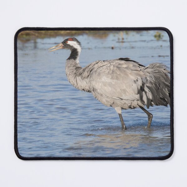 Item preview, Common Crane designed and sold by LaurenTucker.