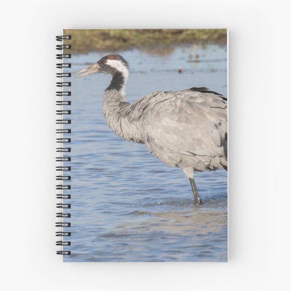 Item preview, Common Crane designed and sold by LaurenTucker.