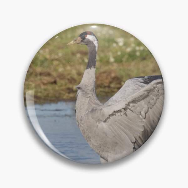 Item preview, Common Crane designed and sold by LaurenTucker.
