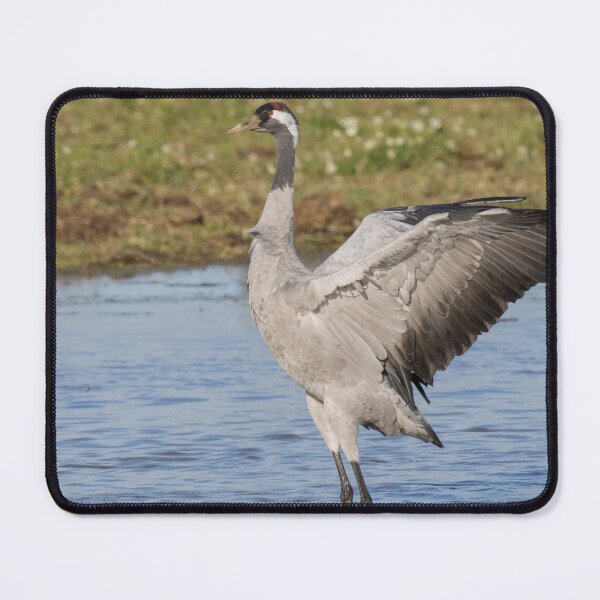 Item preview, Common Crane designed and sold by LaurenTucker.