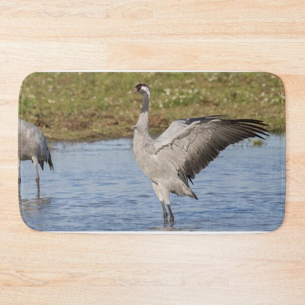 Item preview, Common Crane designed and sold by LaurenTucker.